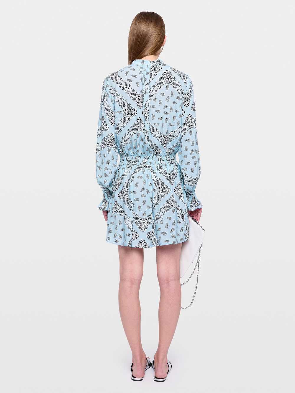 Rayados Dress